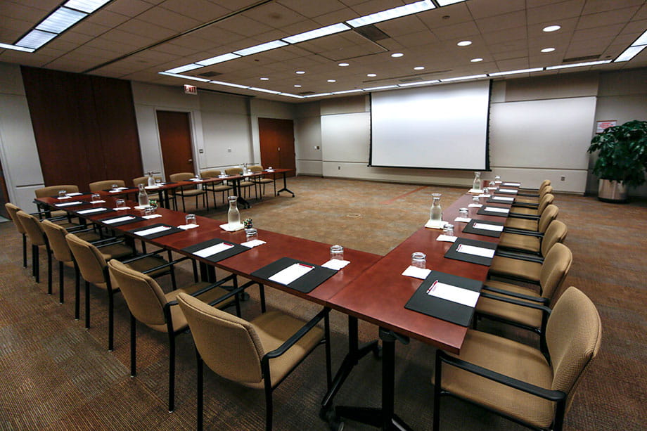 Large Executive Meeting Room 